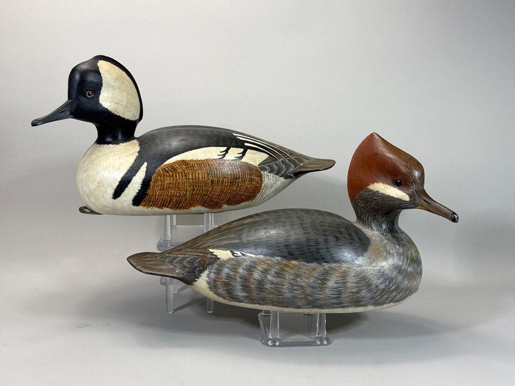 Bill Conroy, Jamestown, RI, Hooded Merganser Pair