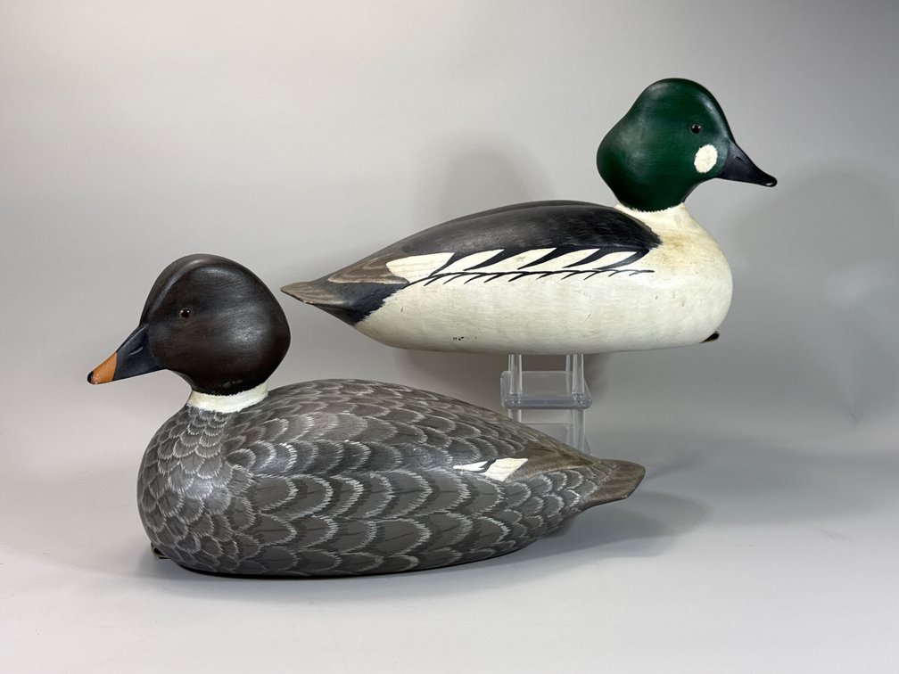 Bill Conroy, Jamestown, RI, Goldeneye Pair