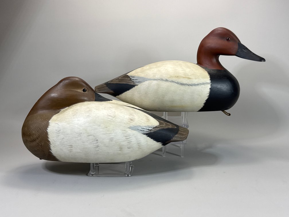 Bill Conroy, Jamestown, RI, Canvasback Pair