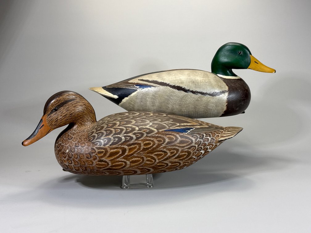 Bill Conroy, Jamestown, RI, Mallard Pair