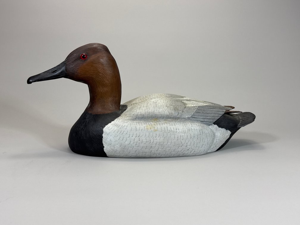 Randy and Elaine Fisher, Dennis, MA, Canvasback