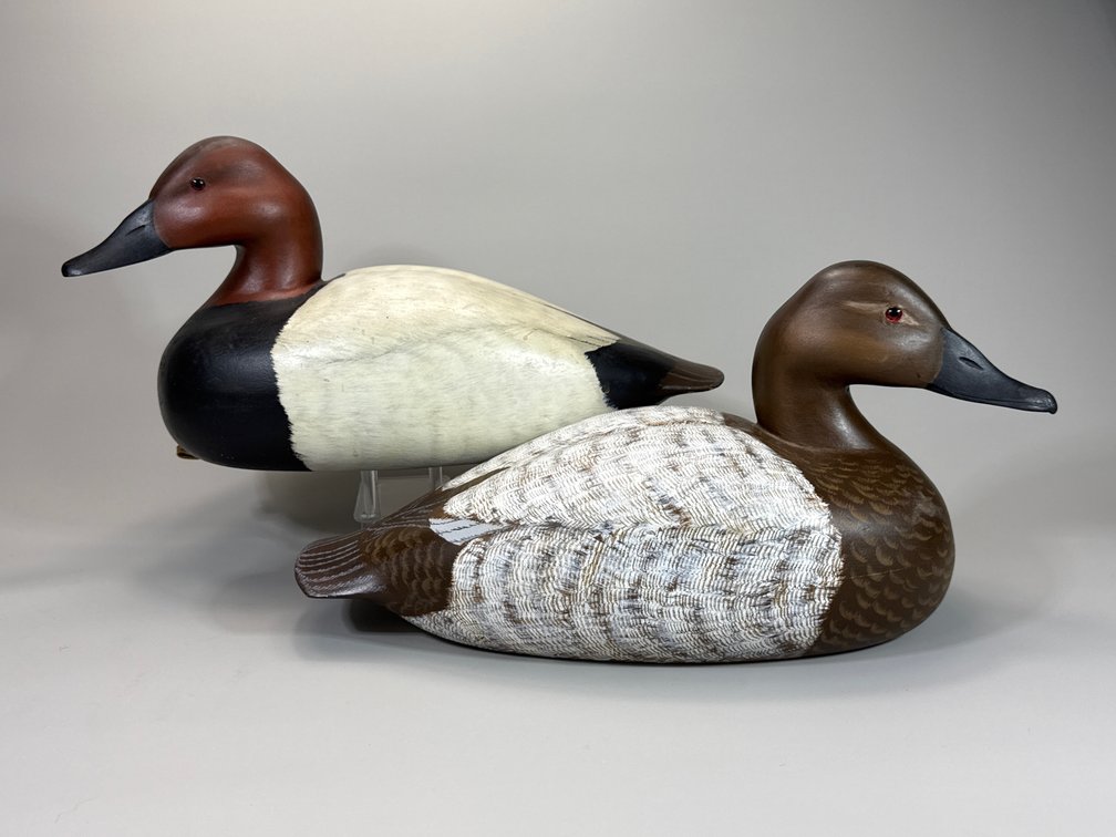 Bill Conroy, Jamestown, RI, Canvasback Pair