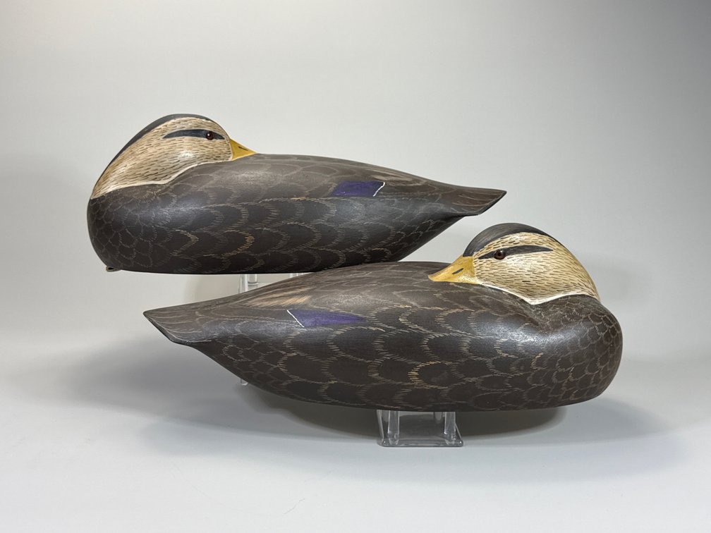 Bill Conroy, Jamestown, RI, Black Duck Pair