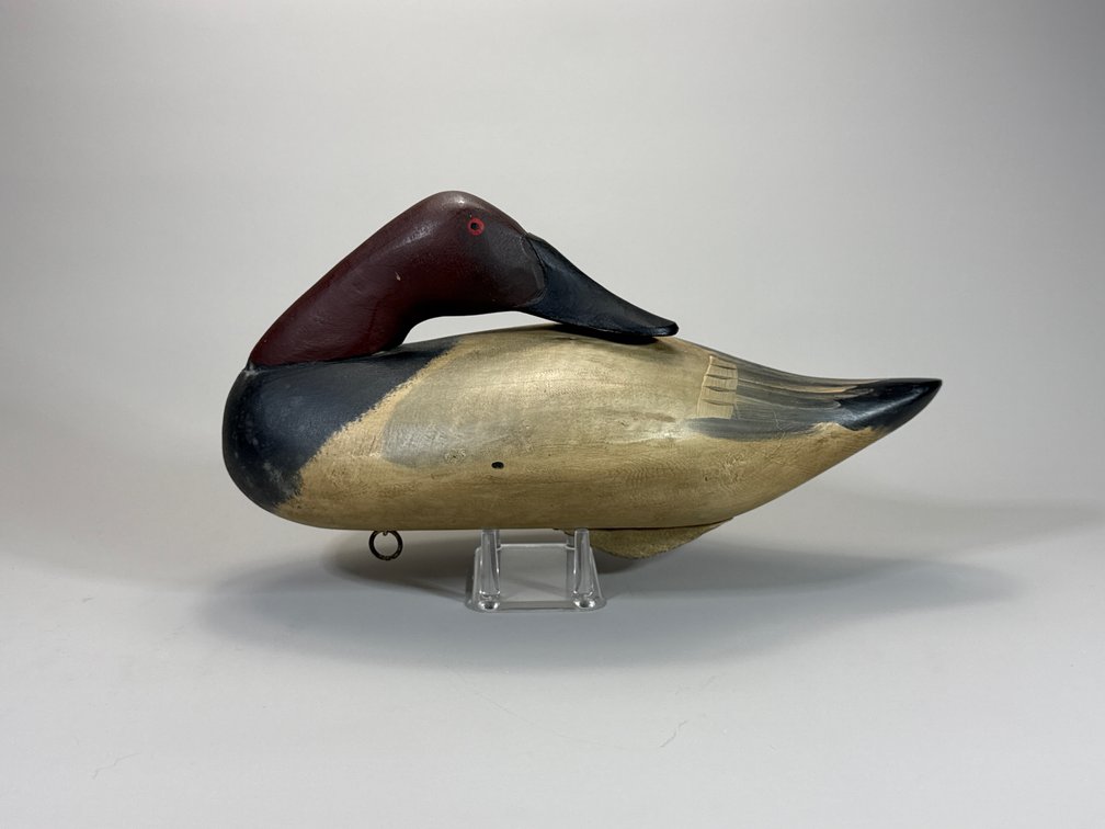 Capt Harry Jobes, Havre de Grace, MD, Canvasback