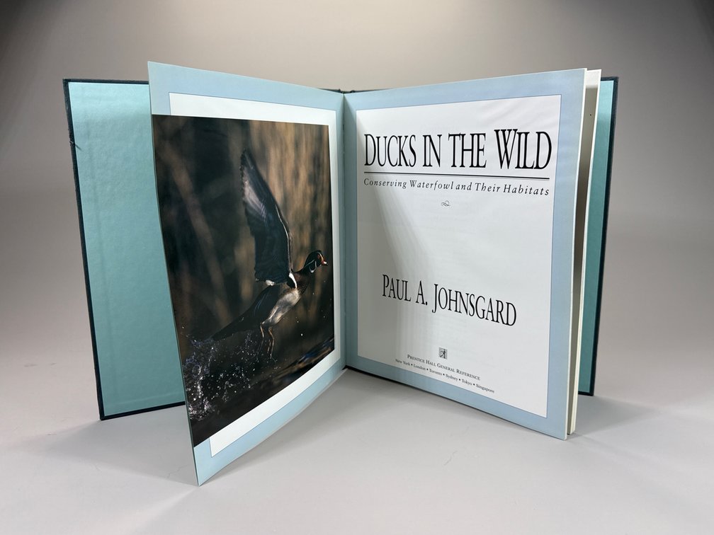“Ducks in the Wild” by Paul A. Johnsgard