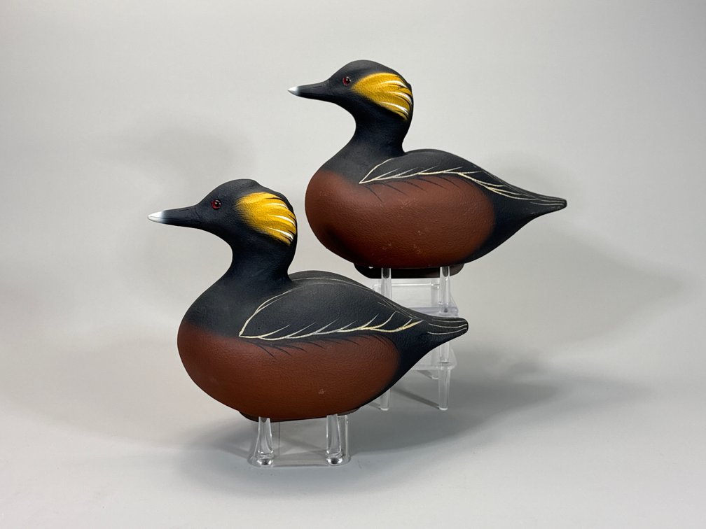 William Veasey, Elkton, MD, Horned Grebe Pair