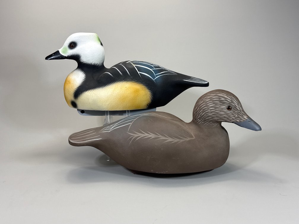 William Veasey, Elkton, MD, Stellers Eider Pair