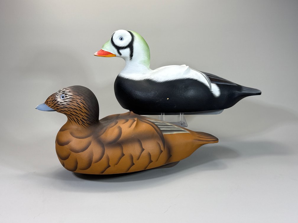 William Veasey, Elkton, MD, Spectacled Eider Pair