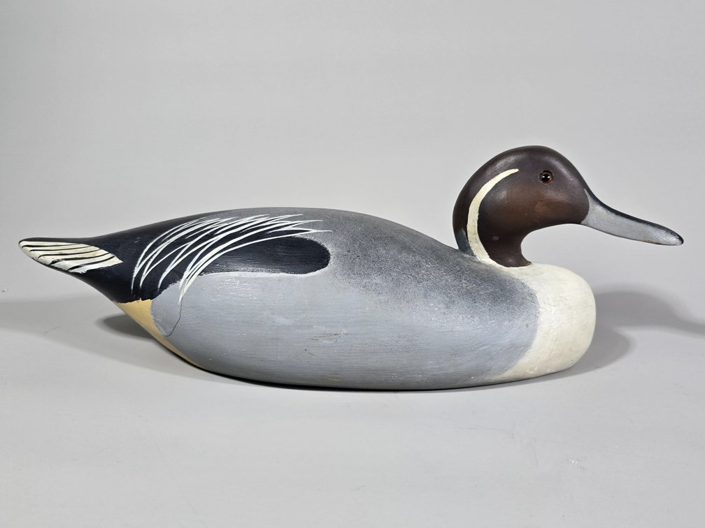 Pintail, Painted by Bob Coleman
