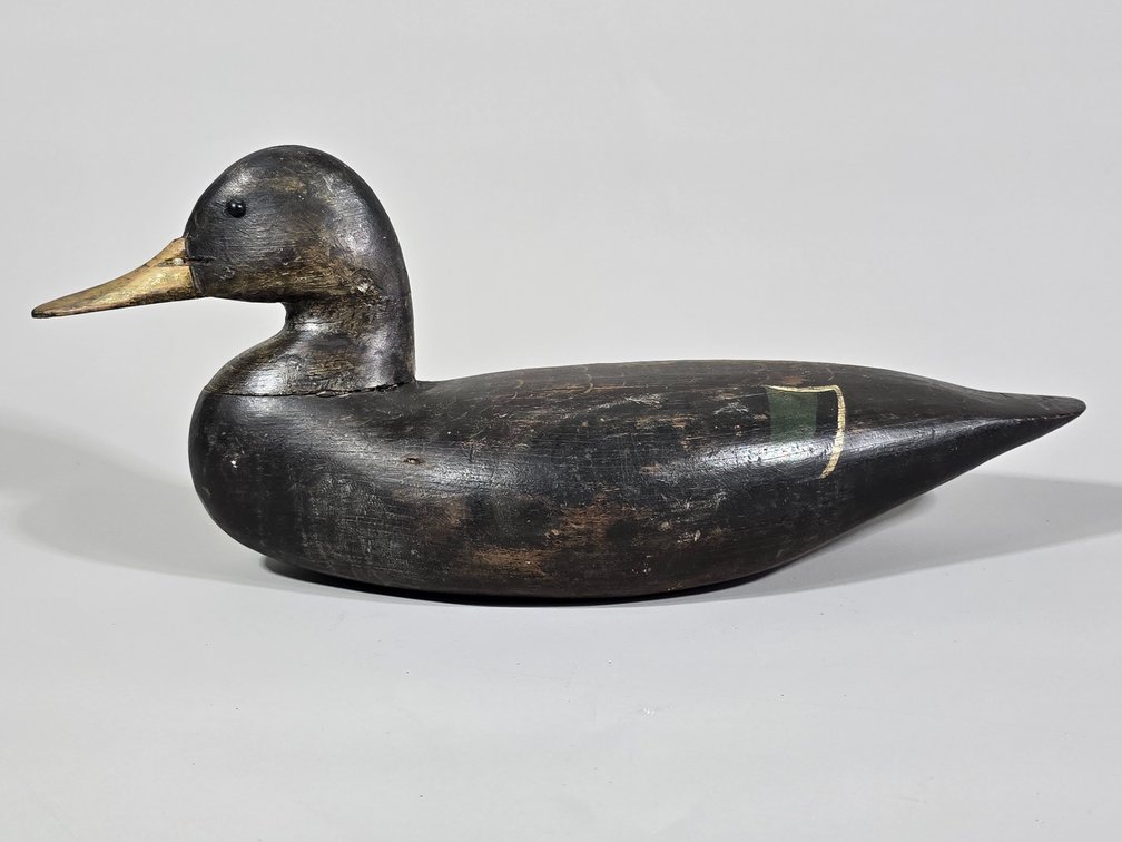 Black Duck, Unknown Maker