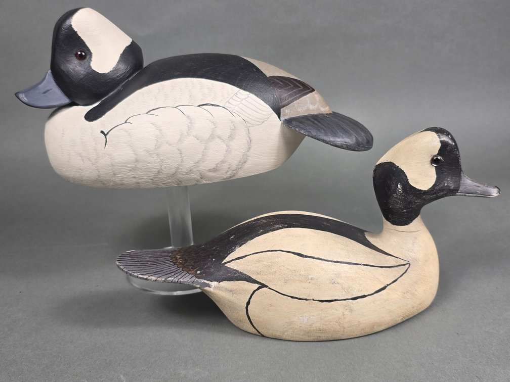 2 Contemporary Buffleheads