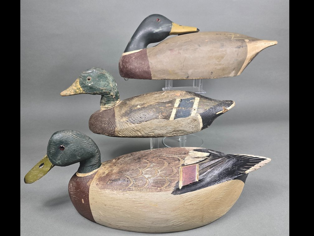 Gunning Mallard Trio
