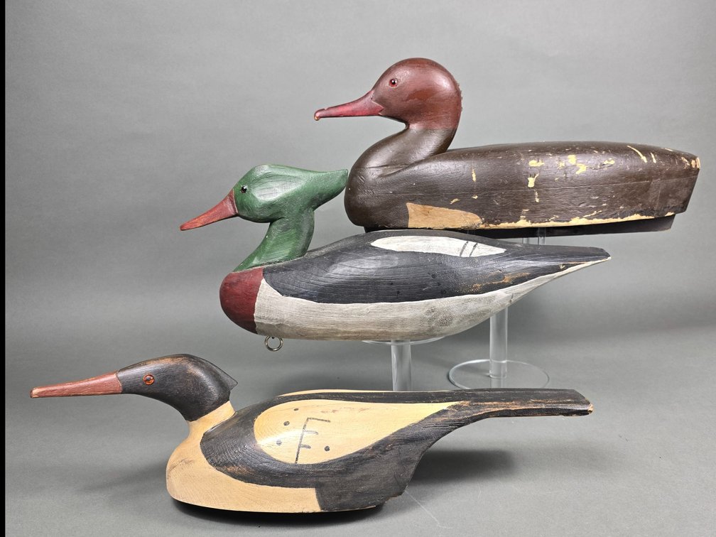 Gunning Merganser Trio