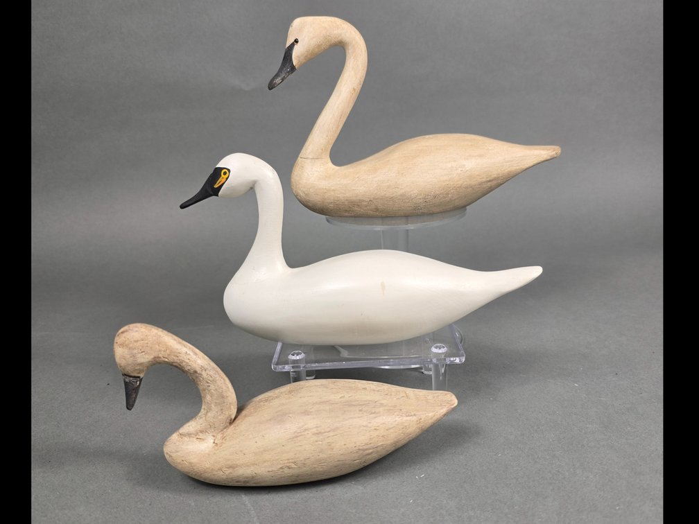 3 Mini Swans