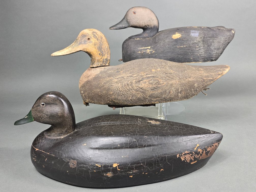 Black Duck Trio