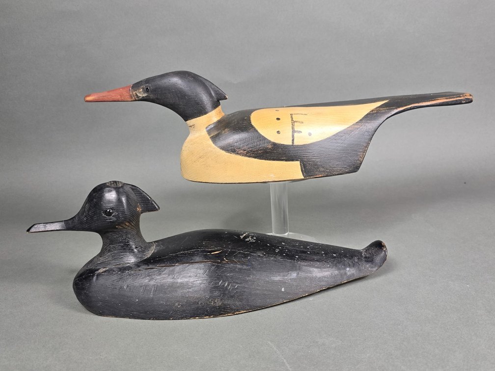Two Mergansers