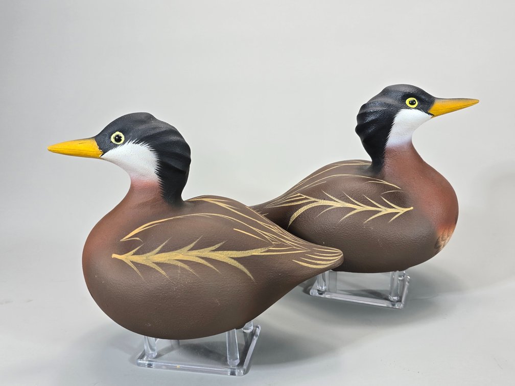 William Veasey, Elkton,  MD Red Necked Grebe Pair