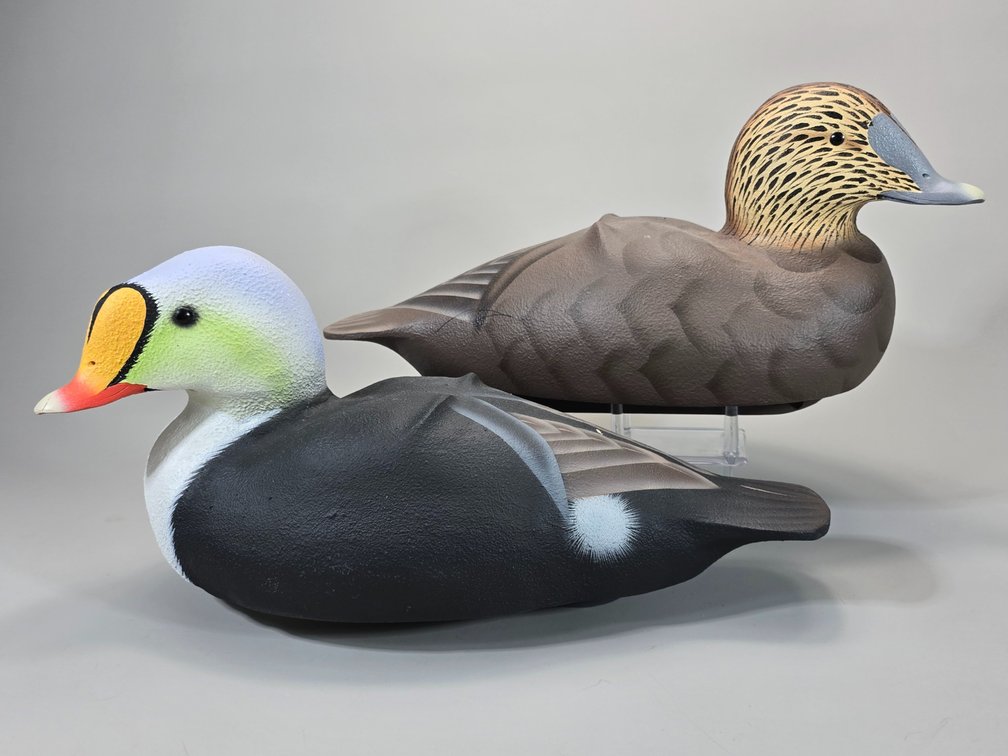 William Veasey,  Elkton,  MD King Eider Pair