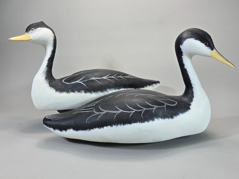 William Veasey,  Elkton,  MD Western Grebe Pair