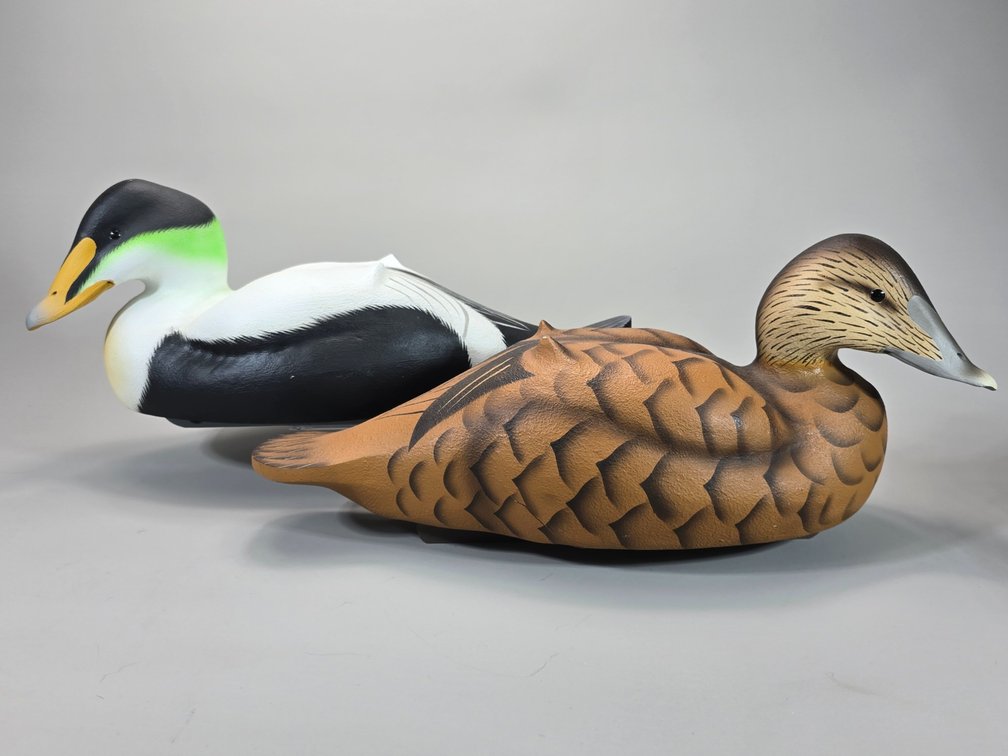 William Veasey,  Elkton,  MD Common Eider Pair