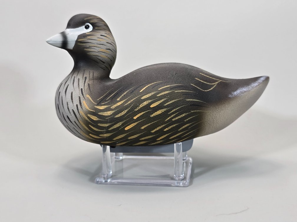 William Veasey,  Elkton,  MD Pied Billed Grebe