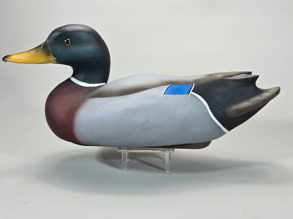 William Veasey,  Elkton,  MD Mallard