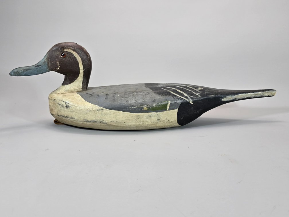 Pintail by Unknown Maker