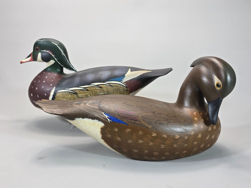 Bill Conroy,  Jamestown,  RI Wood Duck Pair