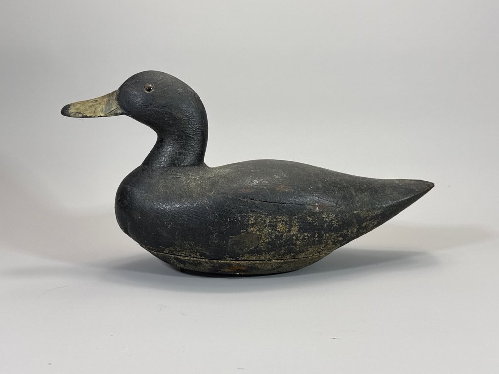 Coot, Unknown Maker