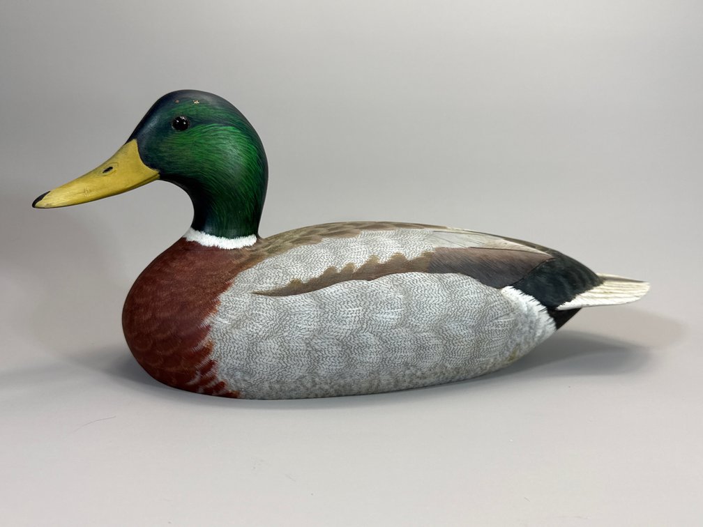 Jack Hahn, Mallard