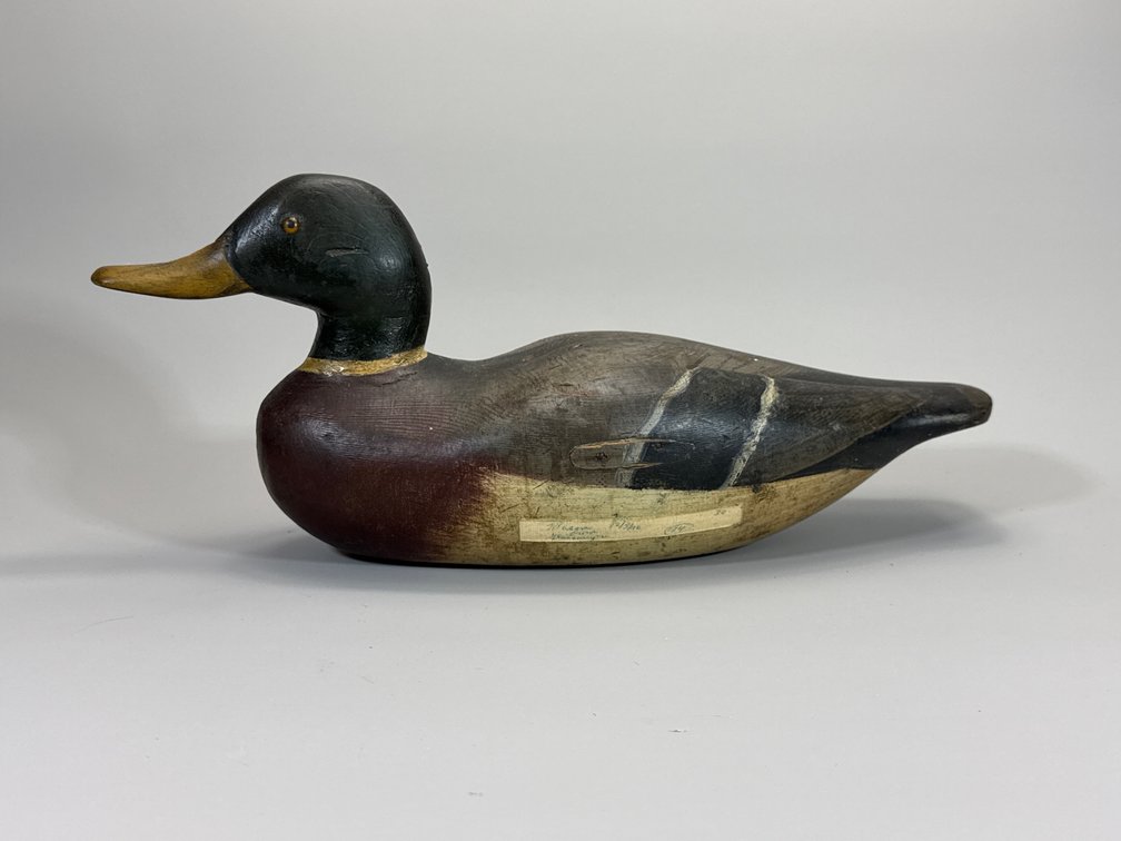 Factory Mallard