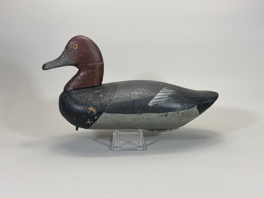 Upper Chesapeake Bay, Redhead