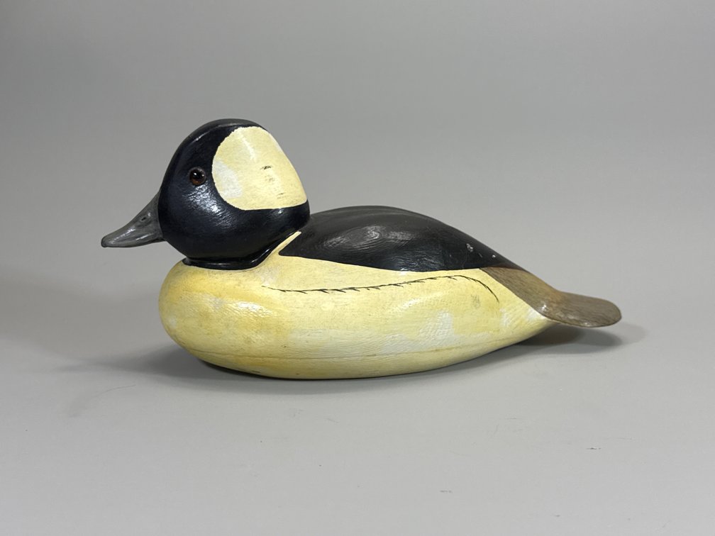 Ray Ronan, Bufflehead