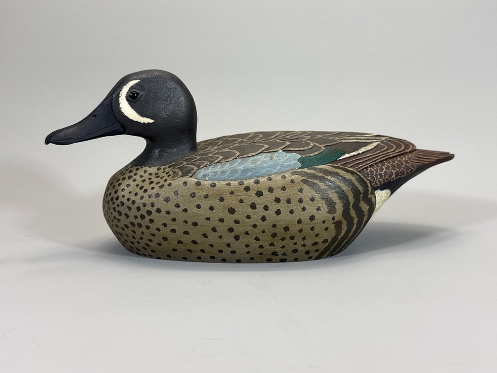 Wayne Boblenz, Blue Wing Teal