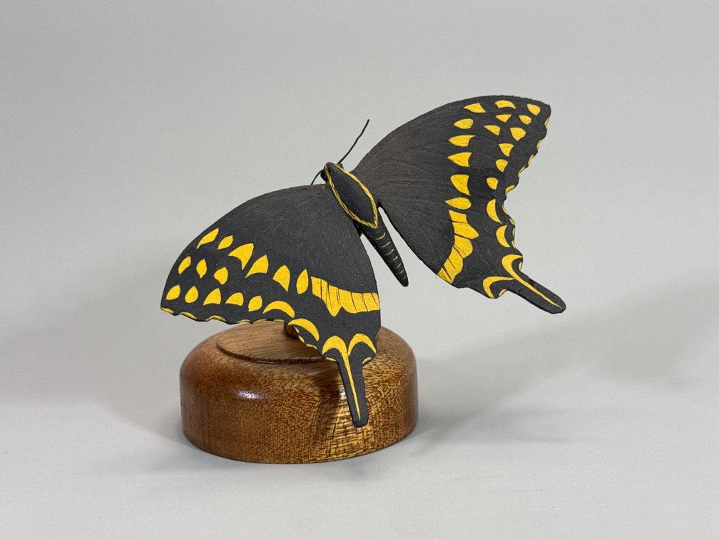 Jim Lynch, Butterfly