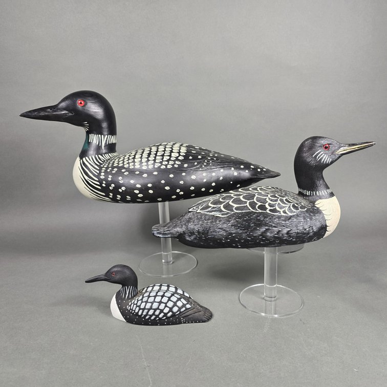 3 Loon Selection