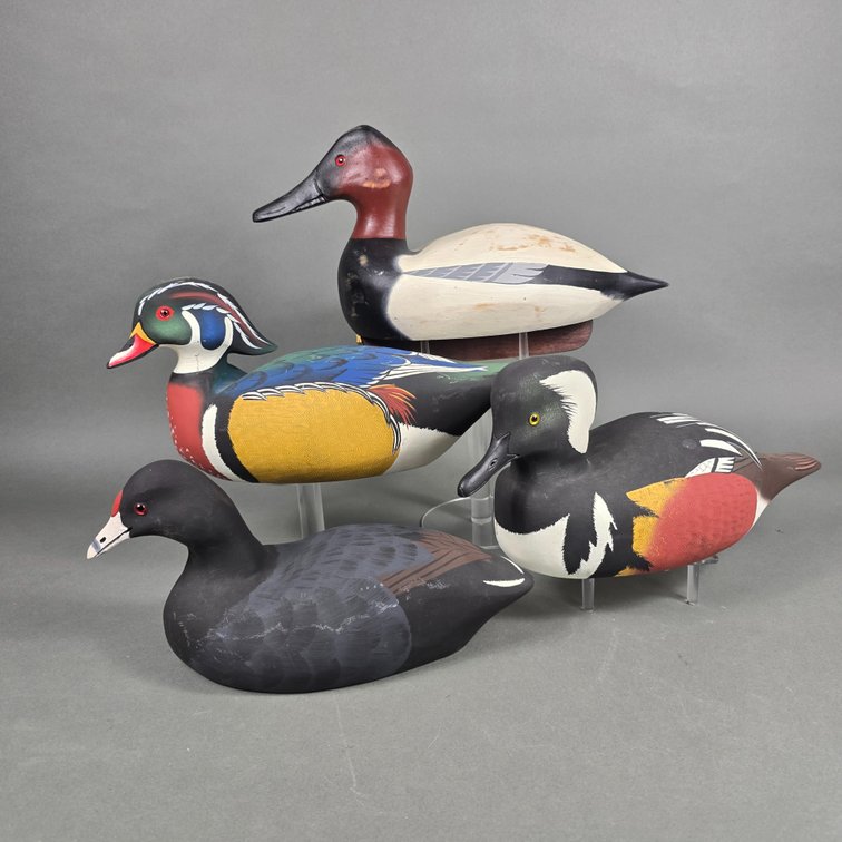 Lisa Byrd, Saxis,  VA Decoy Selection