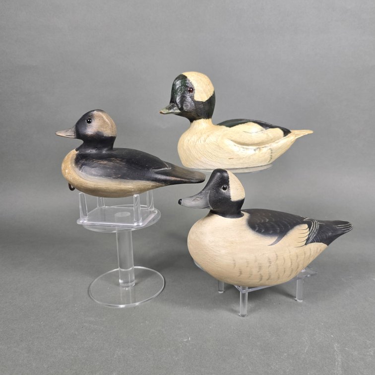 Bufflehead Trio