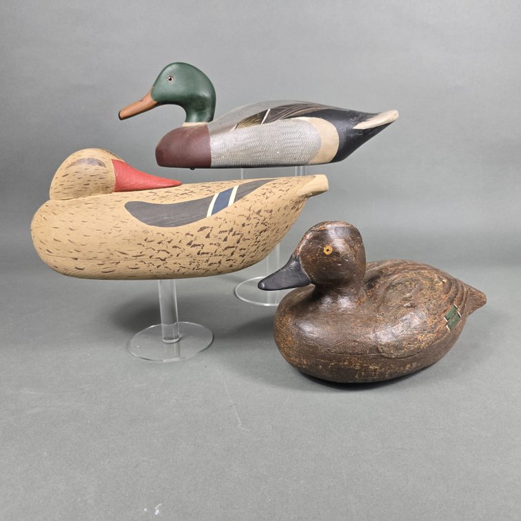 Mallard & Teal Gunners