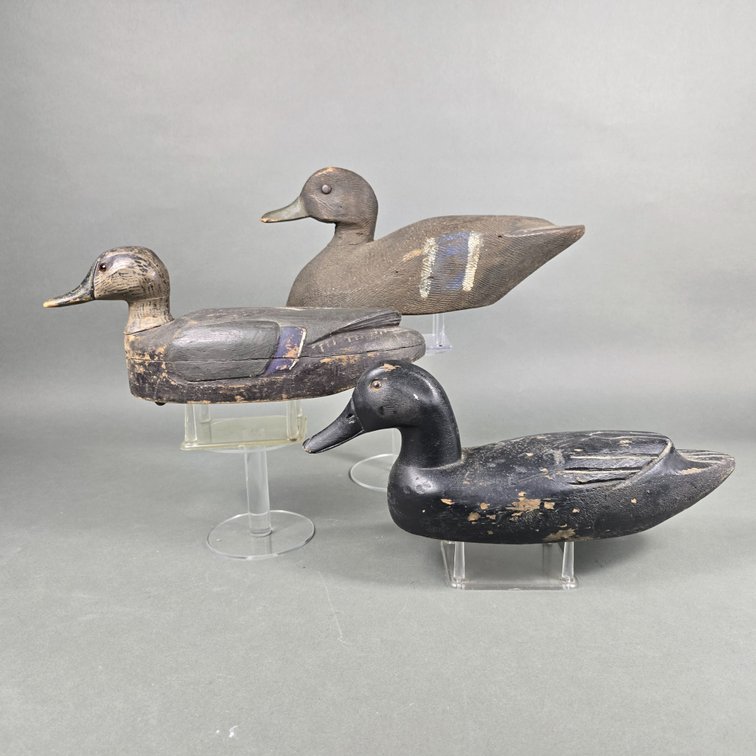 Rig of 3 Gunning Black Ducks