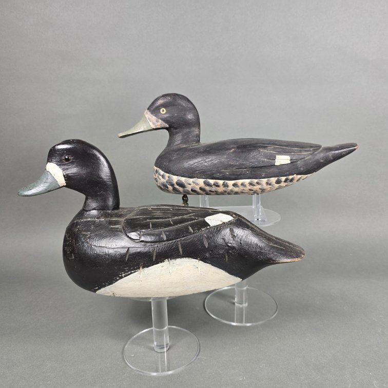 Bluebill Gunning Duo