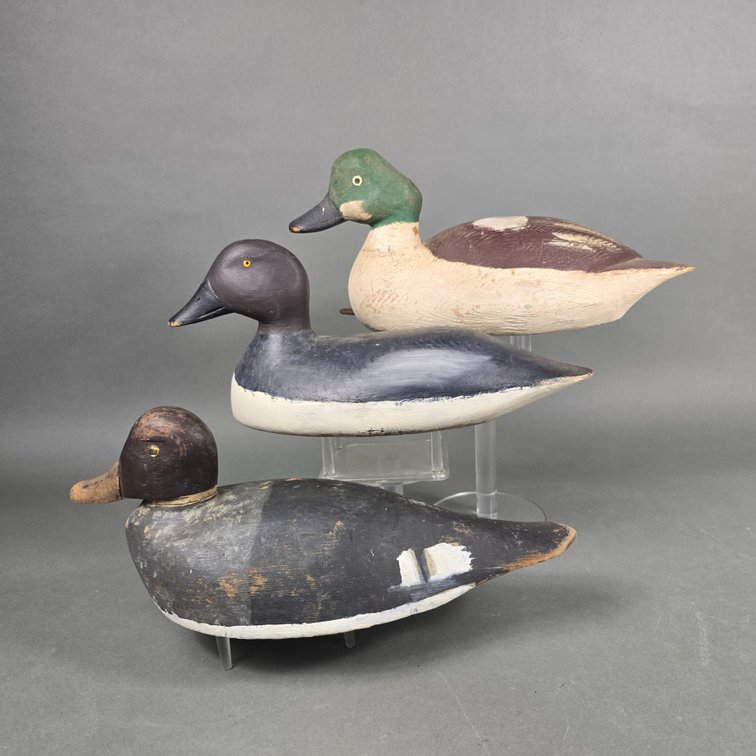 Rig of 3 Gunning Goldeneyes