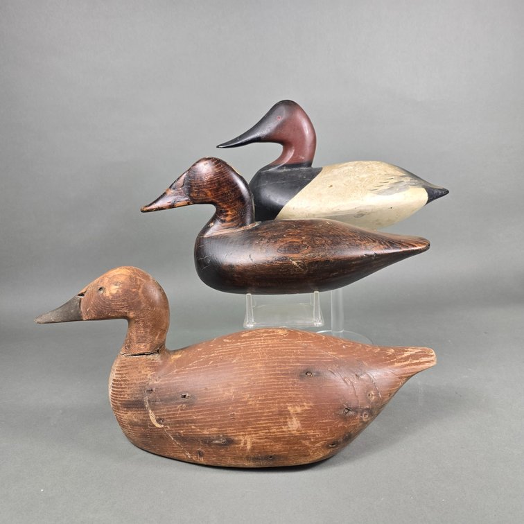 Rig of 3 Gunning Canvasbacks