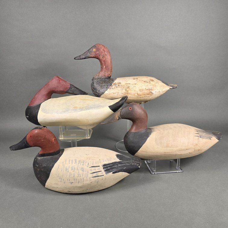 Rig of 4 Maryland Canvasbacks