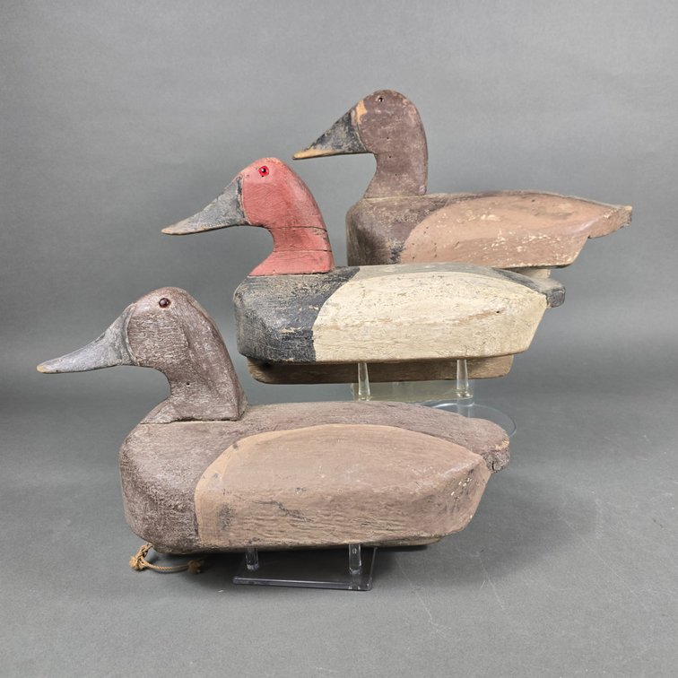 Rig of 3 Talbot County MD Canvasbacks