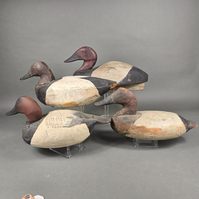 Rig of 4 Canvasbacks