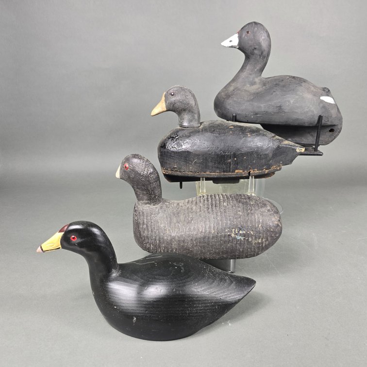 Rig of 4 Coots