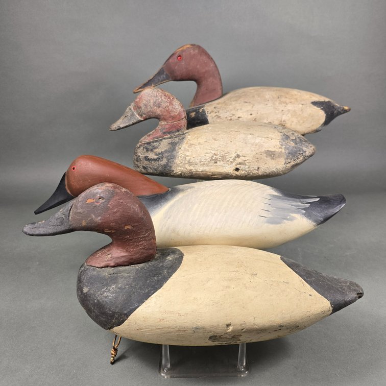 Rig of 4 Gunning Canvasbacks
