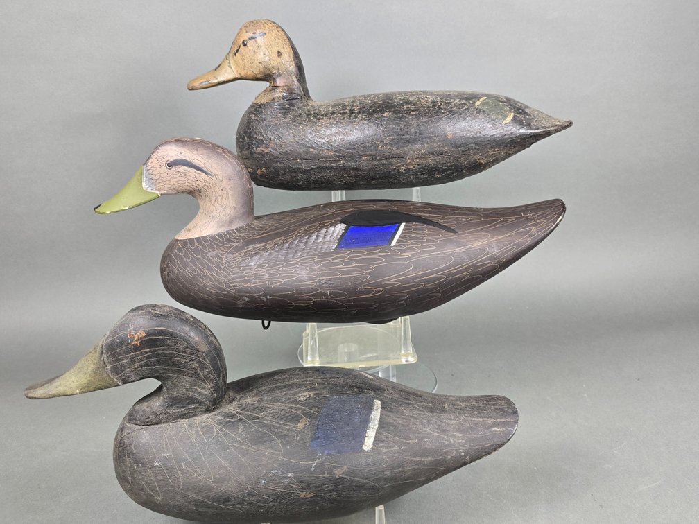 Black Duck Trio