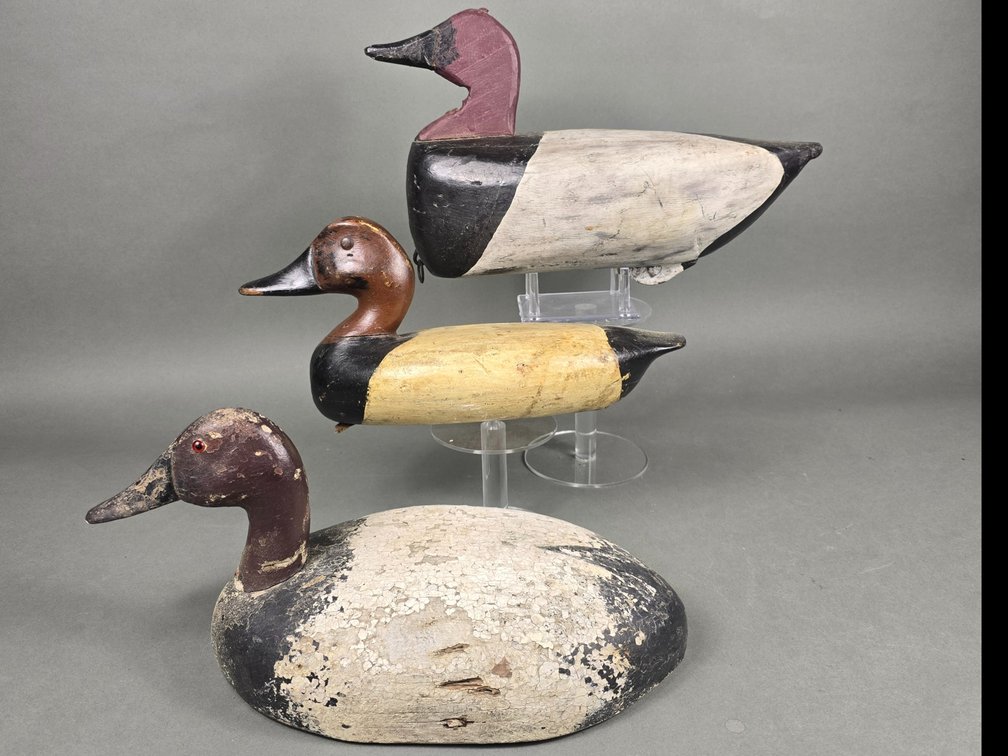 Canvasback Rig of 3